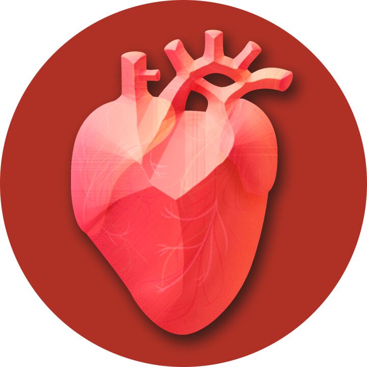 Υψηλή αρτηριακή πίεση – καταπόνηση της καρδιάς